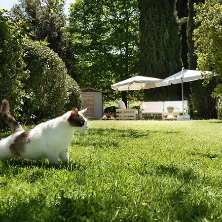 La Vittoria 10 - La Soglia Della Val D'orcia Bed & Breakfast 2*