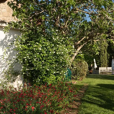 La Vittoria 10 - La Soglia Della Val D'orcia Bed & Breakfast Chianciano Terme